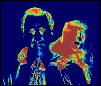 Baboon on businessman's back