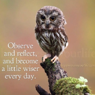 3a9adb484e87e30f4cb3a7137cdcd90e